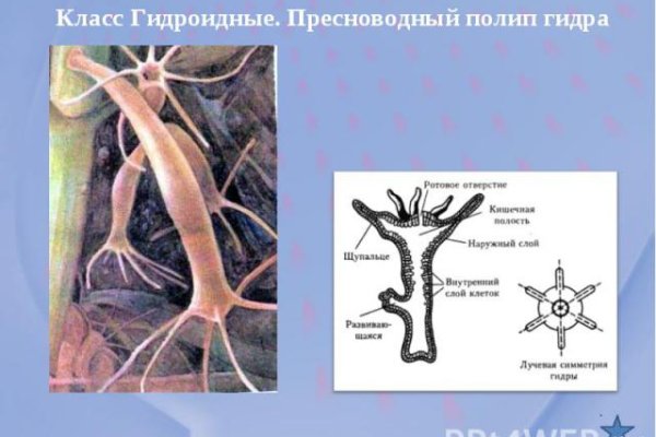 Кракен маркетплейс что там