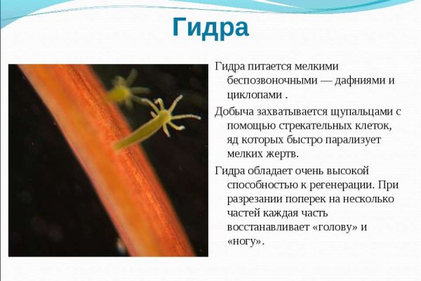 Кракен онион