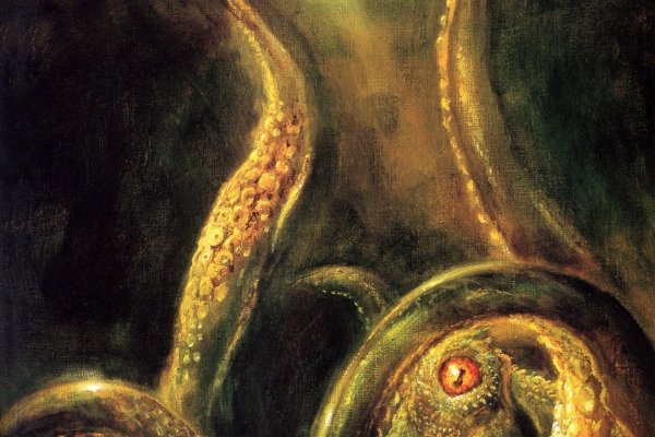 Kraken зеркала kr2web in