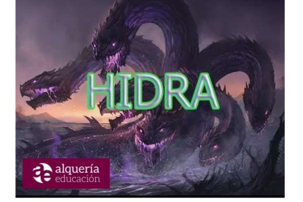 Актуальная ссылка на кракен kraken