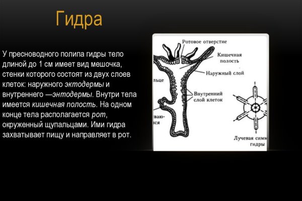 Кракен орг