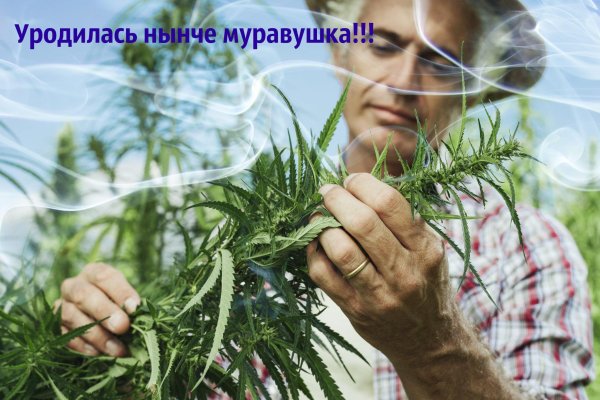 Кракен тор ссылка сегодня