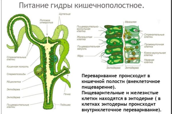 Кракен обход