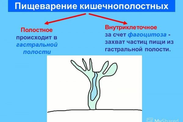 Кракен нарка шоп