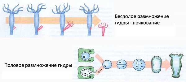 Главная страница кракен