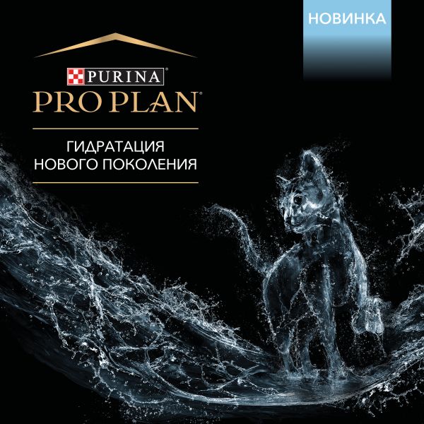 Кракен как попасть