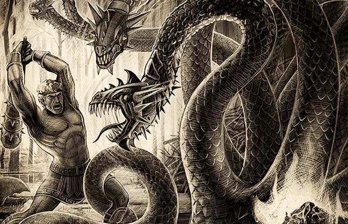 Kraken place